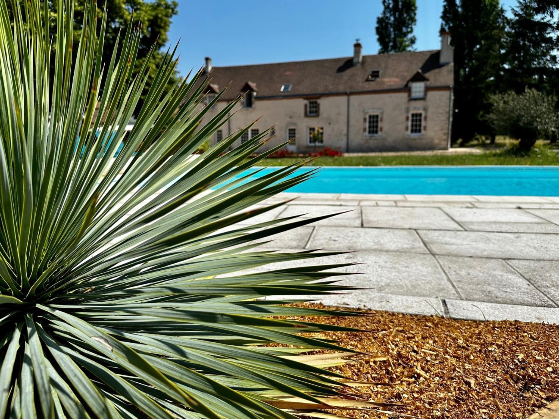 Domaine De Couilleuse Hotel Saint-Laurent-Nouan Exterior photo